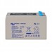 Victron Energy AGM Deep Cycle Battery 12V 14Ah